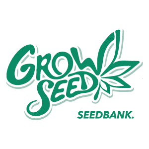 Nasiona marihuany na sprzedaż - Holenderskie nasiona marihuany - Grow Seed