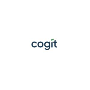 Metody budżetowania - BI business intelligence - Cogit